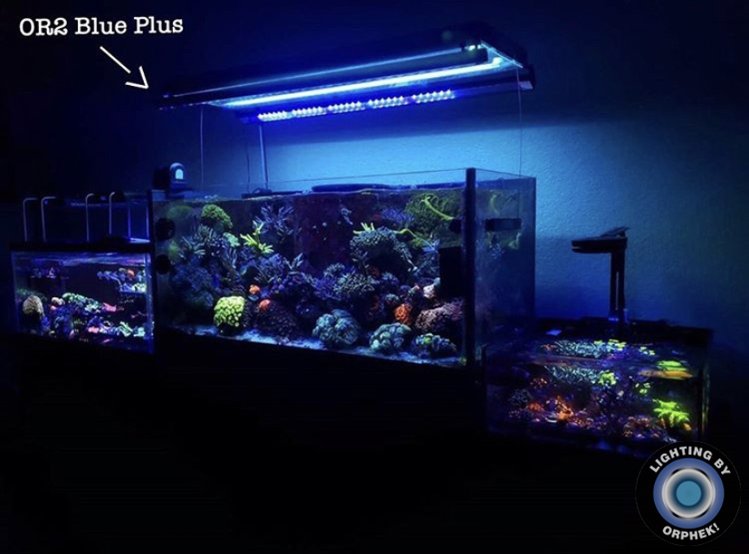 2021 แนวปะการังที่ดีที่สุด LED แถบ orphek OR3