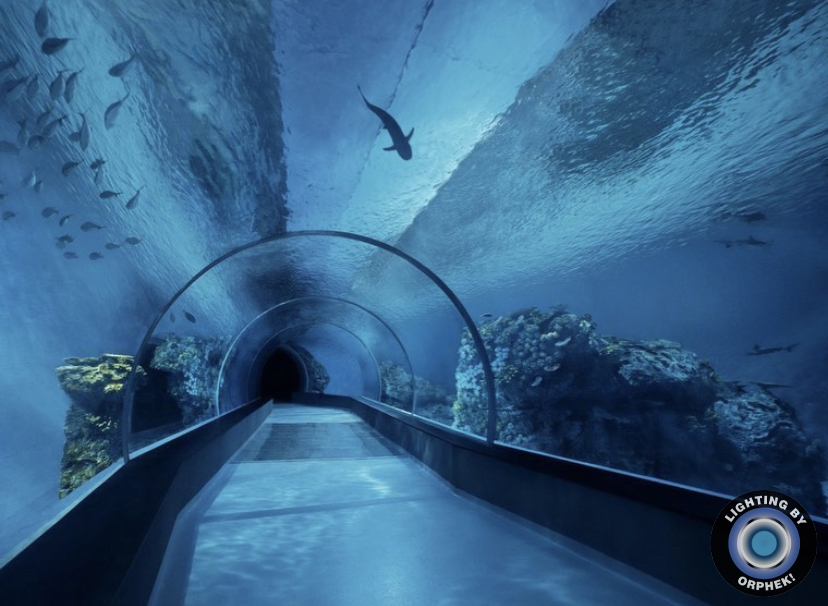 strong aquarium LED lights orphek 2021
