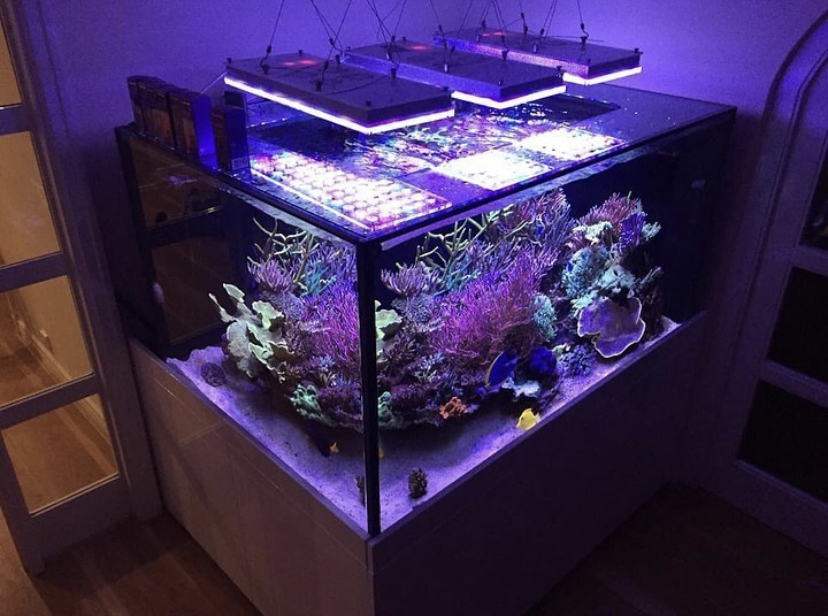 orphek beste aquarium led-licht