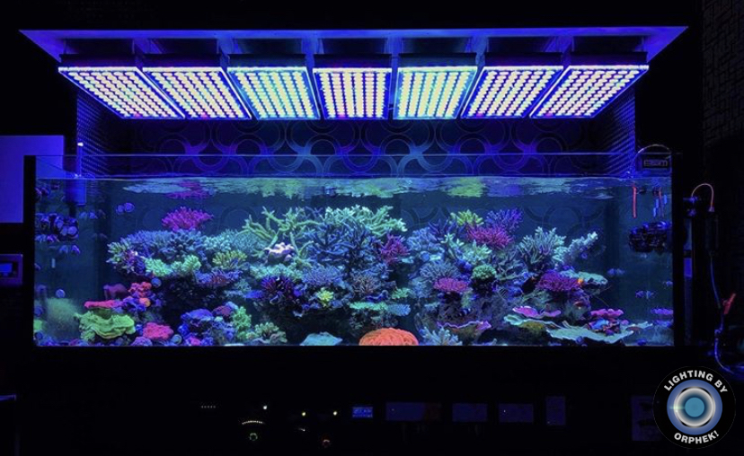 Лучшее качество светодиодное освещение для аквариума 2021