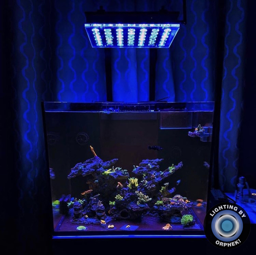 orphek bedste kompakte LED-lys til reef tank
