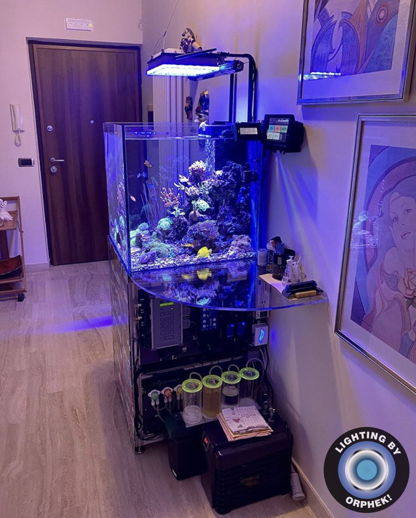 Kubus aquarium met Orphek LED verlichting oplossingen