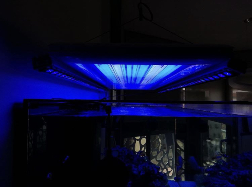 orphek OR3 beste koraalpop LED 2021