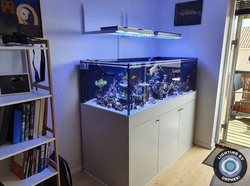 melhor aquário LED orphek atlantik