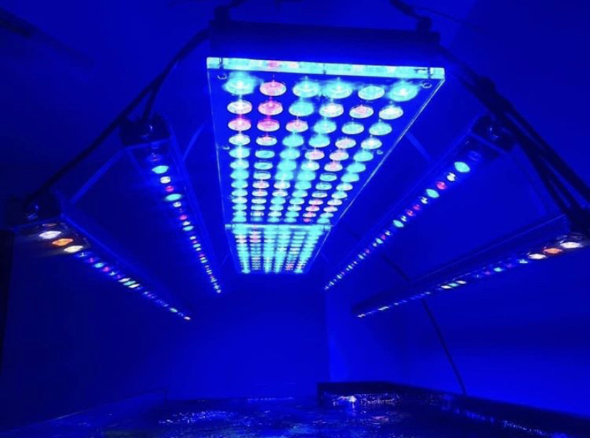 珊瑚礁最佳的LED照明
