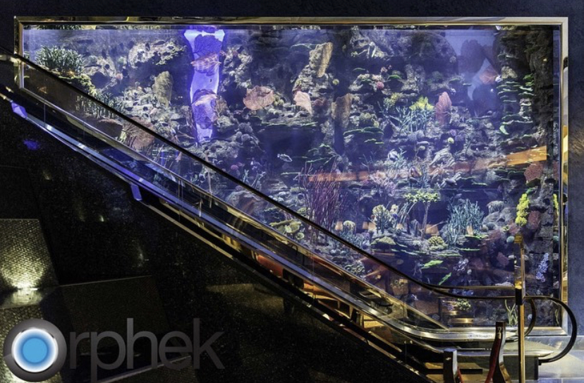 удивительный огромный общественный рифовый танк