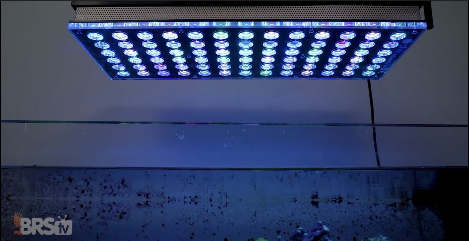 Orphek Atlantik Lampu LED Reef Aquarium terbaik