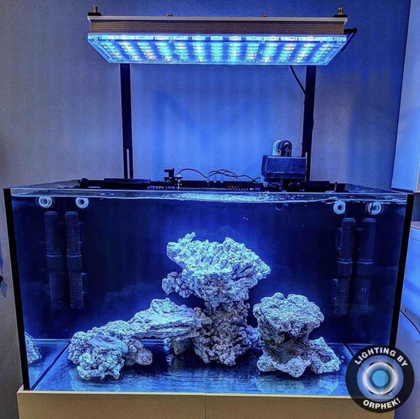 orphek atlatnik высококачественный риф светодиодный