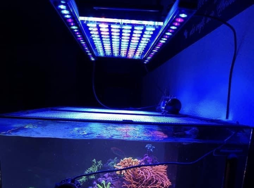 коралловый риф аквариум светодиодный бар