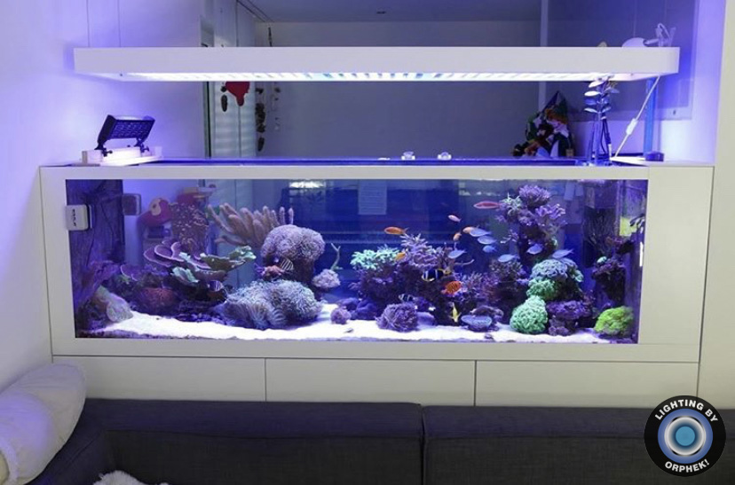aquário público aquário luz LED atlantik v4