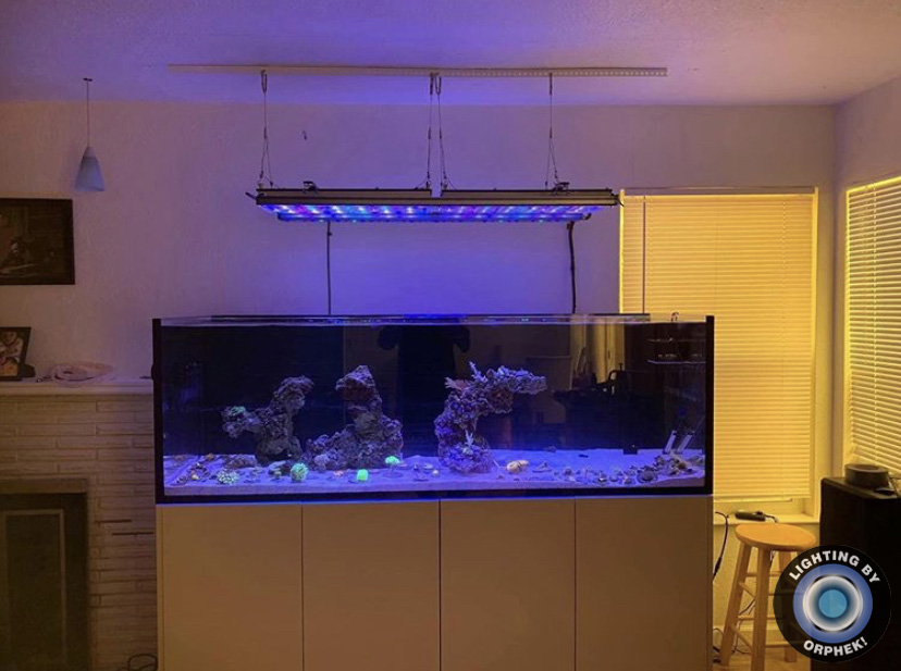 iluminação LED de recife forte orphek
