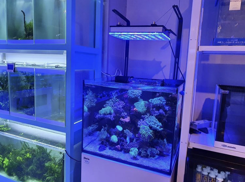 светодиодный аквариум orphek atlantik reef aquarium