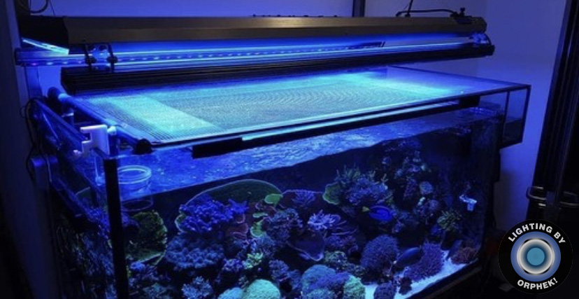 orphek OU barra de led para aquário superior