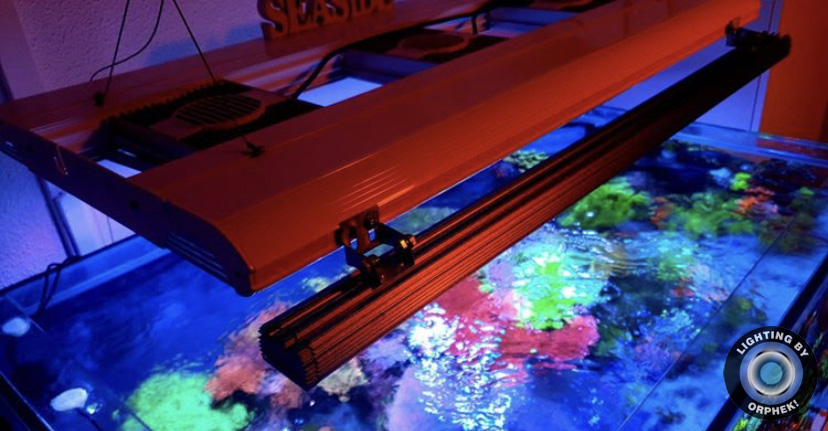 orphek TAI baari paras akvaario LED 2021