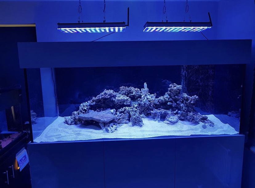 tanque de recife antes da revolução orphek atlantik