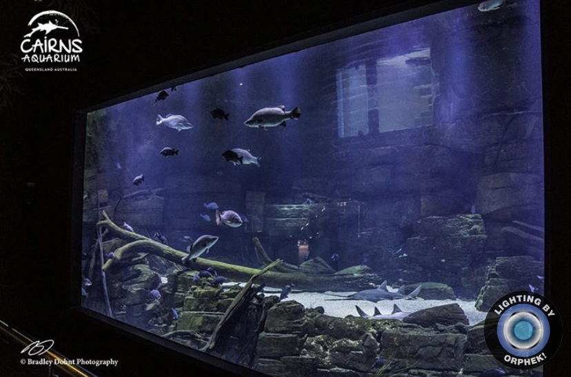 incrível aquário público melhores luzes