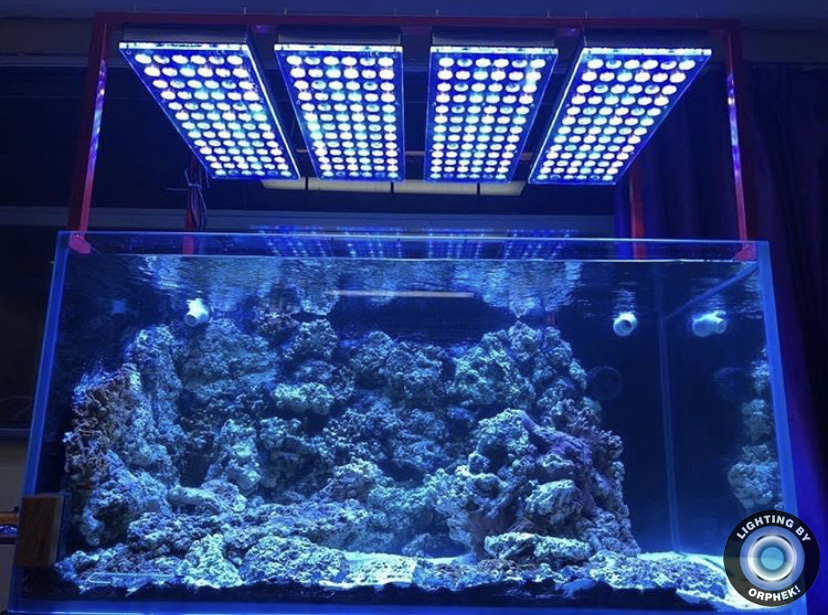 melhor luz de aquário de água salgada orphek atlantik
