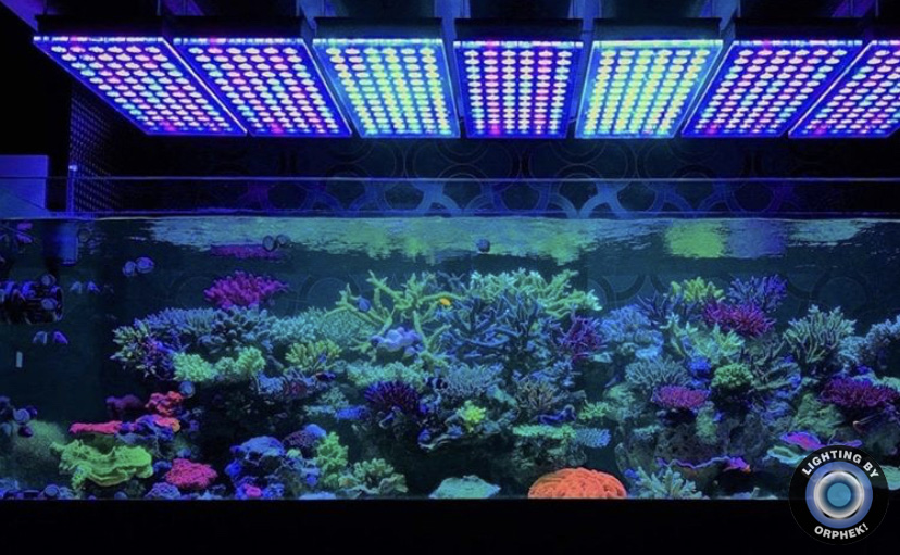 светодиодный аквариум с верхним рифом orphek atlatnik