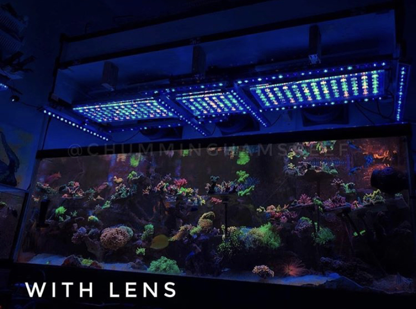foto de aquário de recife com lente
