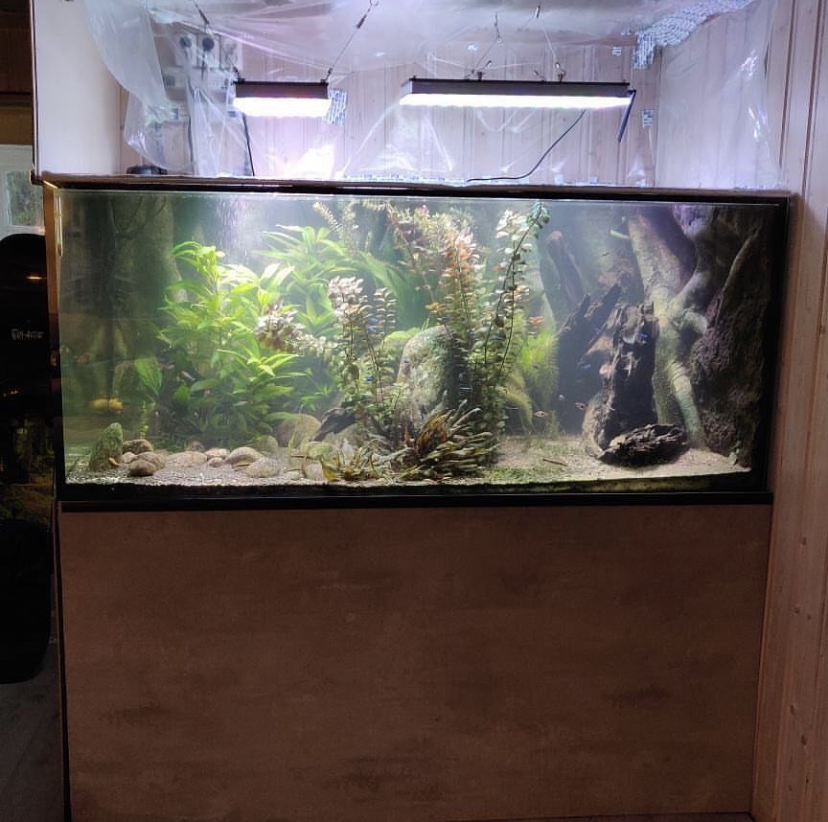 засаженный аквариум лучший свет