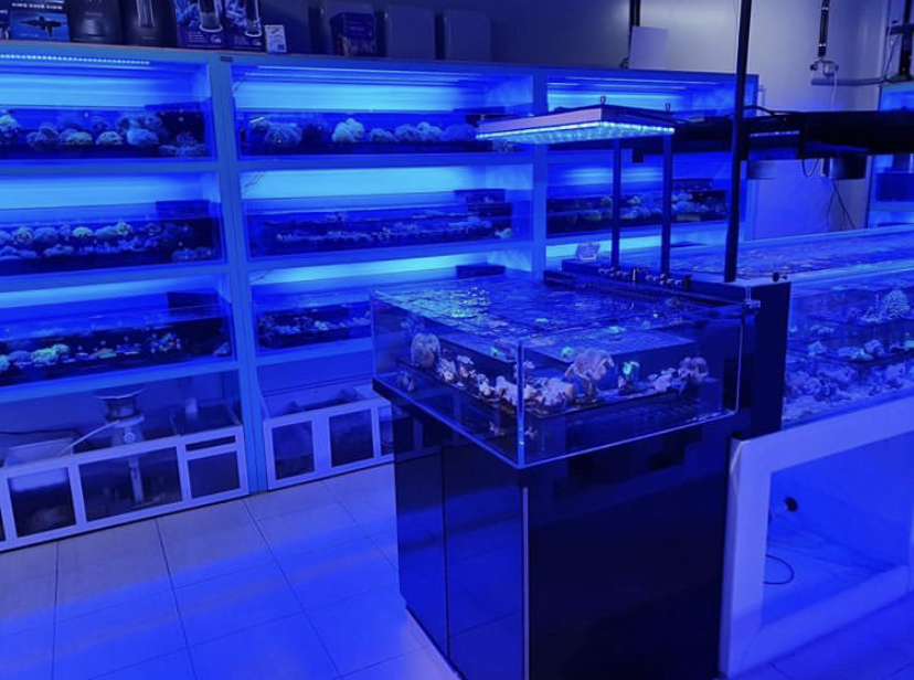светодиоды для аквариумов высшего качества