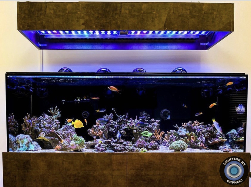 melhor aquário crescer luz led orphek atlantik