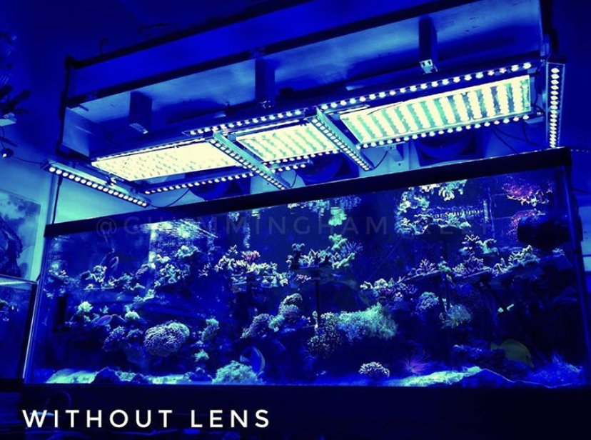 foto de aquário de recife sem lente