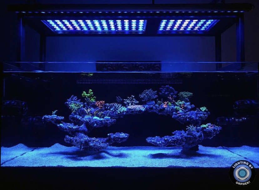 лучшие светодиодные фонари для выращивания рифов 2020