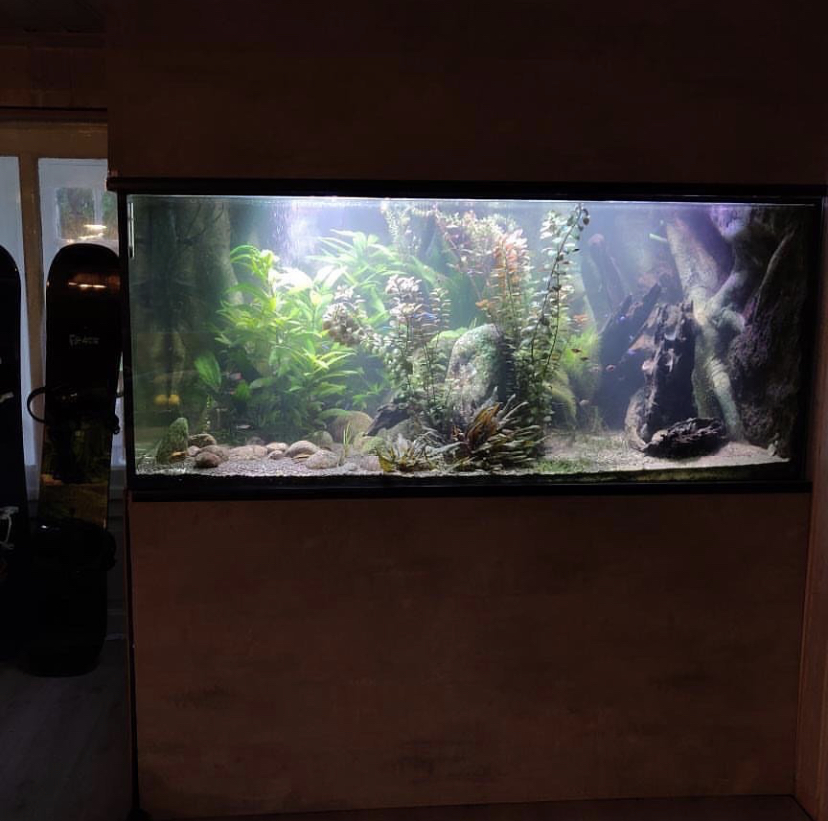 лучший аквариум светодиодное освещение 2021