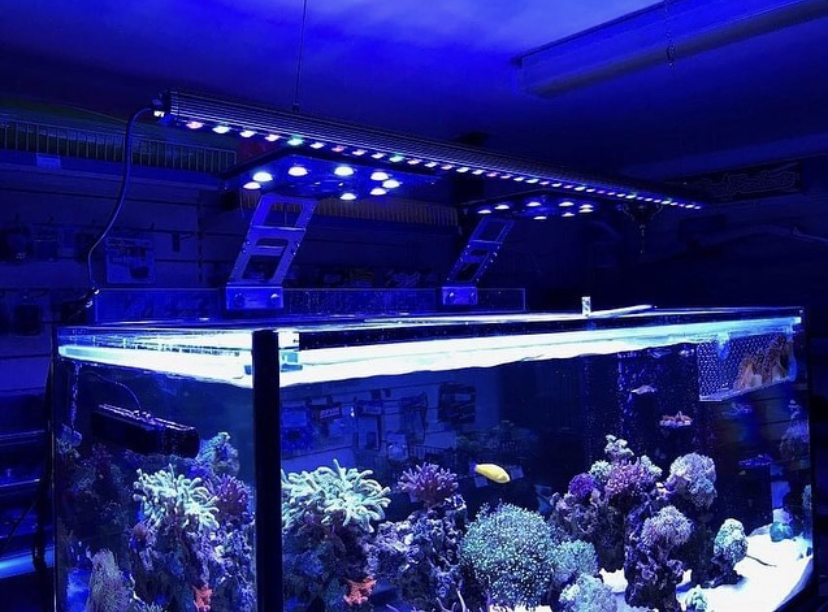 Aquarium Reef Coral WHITE Light LED Strip SaltWater Reef 24" 2 ft w/ Power