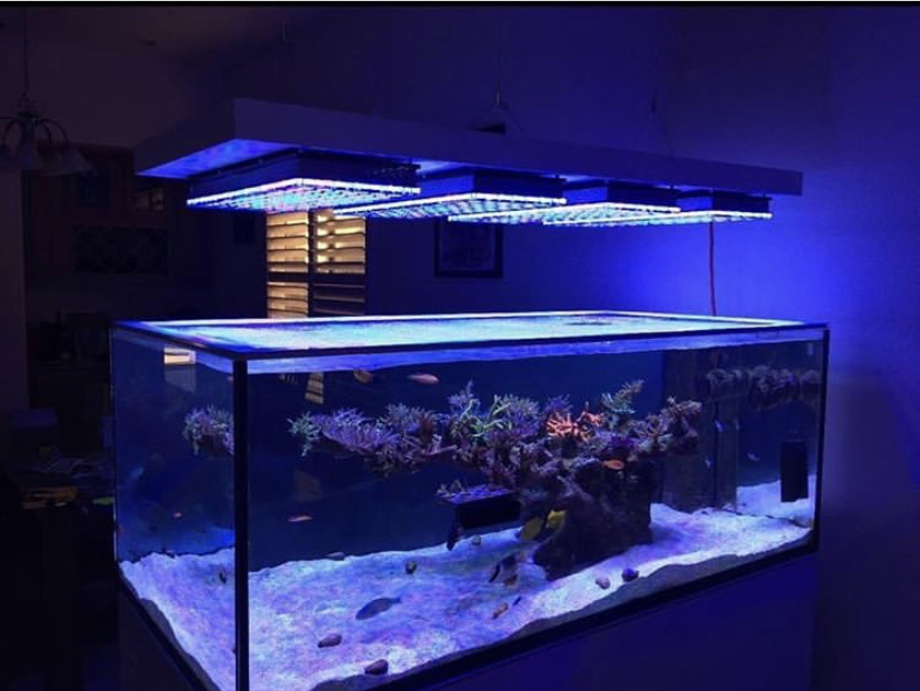 глубоководный морской аквариум