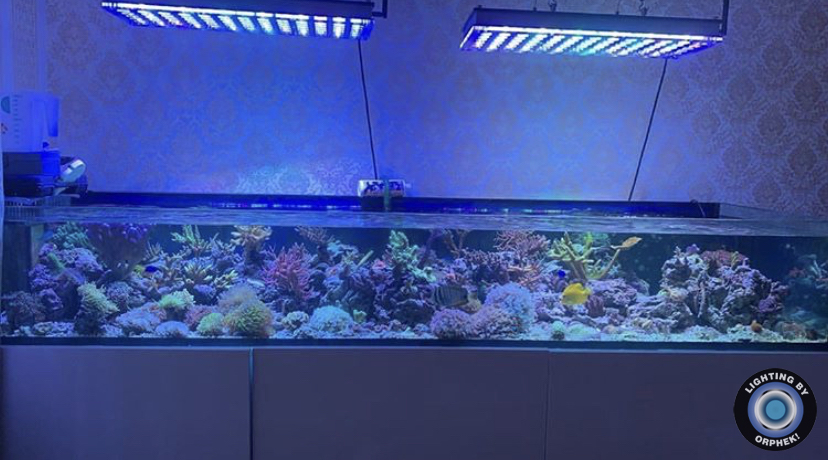 sterk aquarium geleid licht