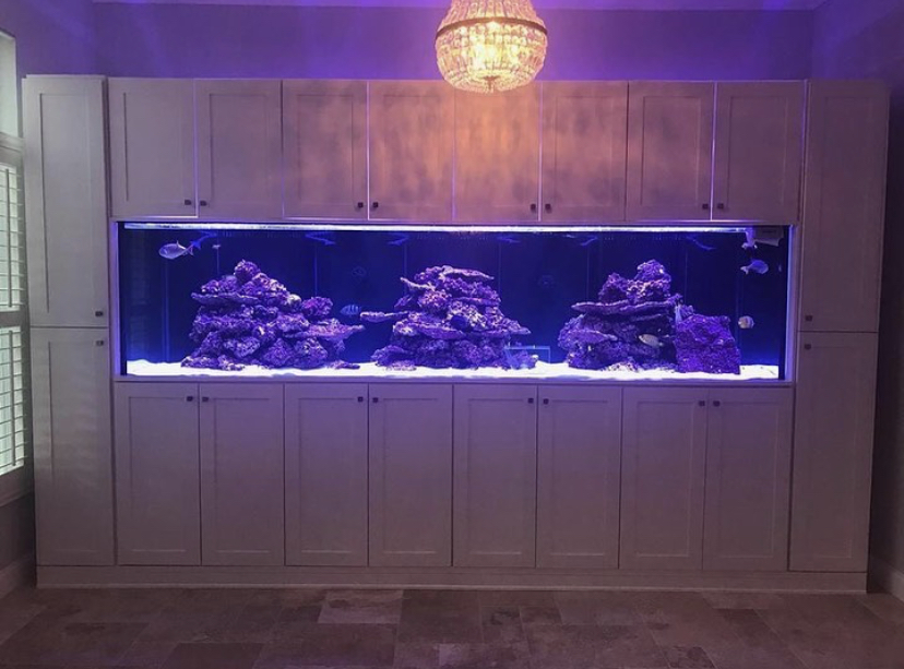 iluminação led superior do aquário recife