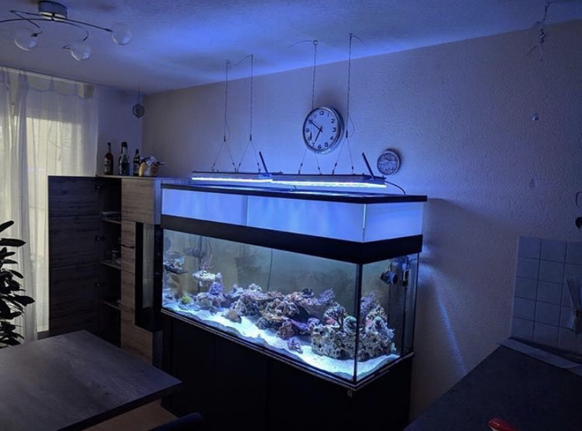 atlantik v4 aquarium beste led-licht