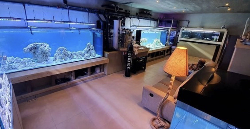 beste licht voor enorm aquarium