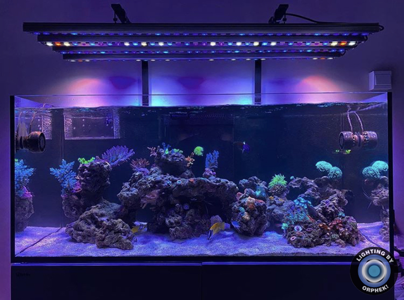лучшие светодиодные балки для аквариумов 2021 orphek