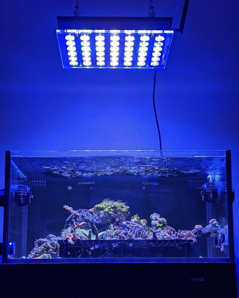 верхний морской аквариум светодиодный