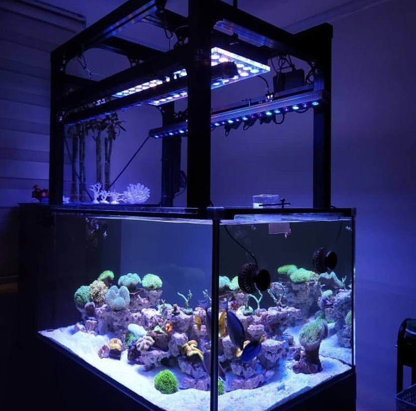 melhor iluminação de aquário orphek