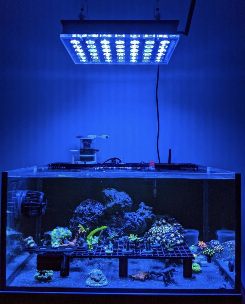 лучшее качество аквариумного освещения 2021