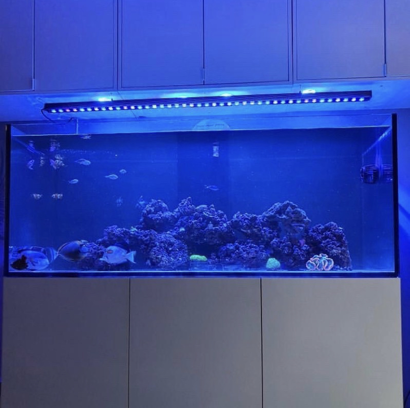 светодиоды для аквариумов