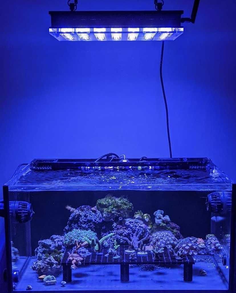 melhor luz LED compacta atlantik