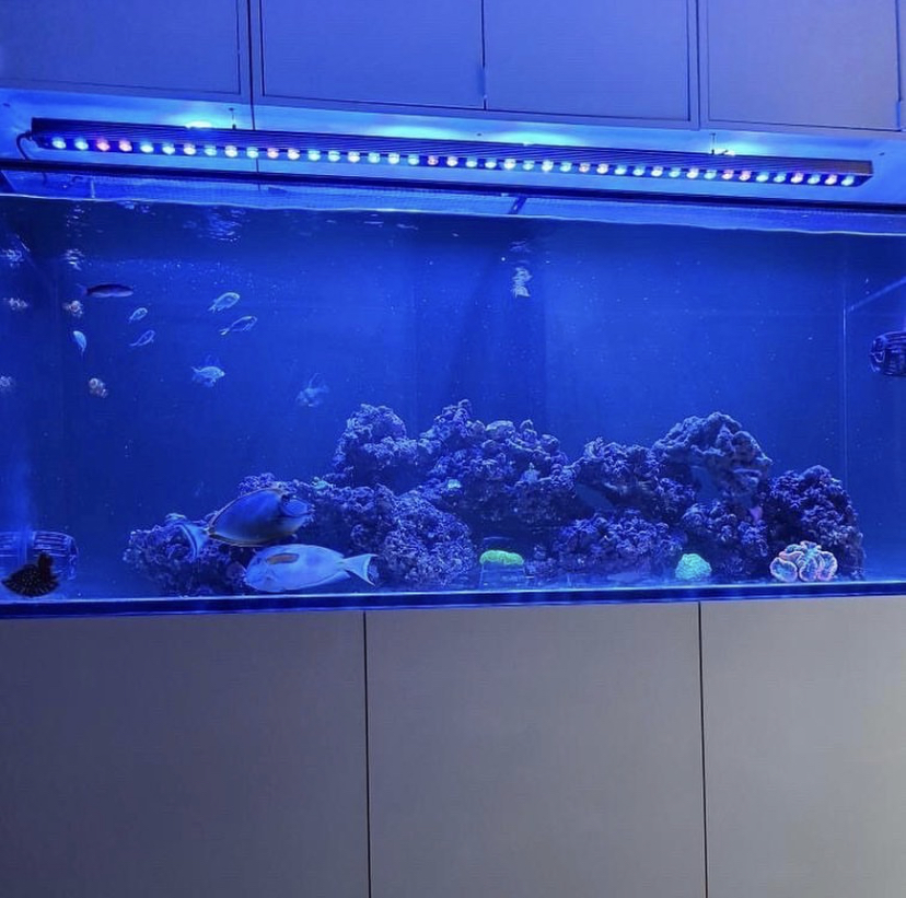 aquariumverlichting van de hoogste kwaliteit