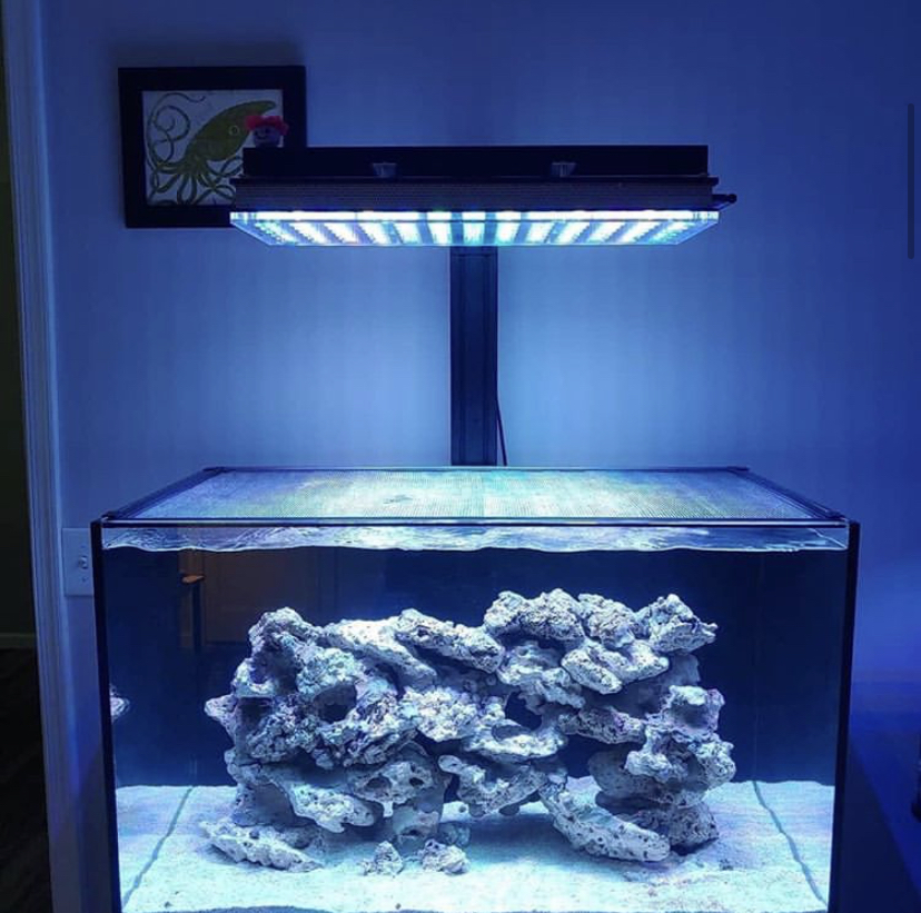 atlatnik v4 bästa aquarim ljus