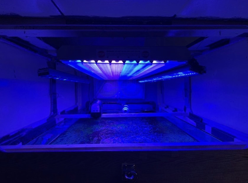 orphek atlantik reef LED светильник