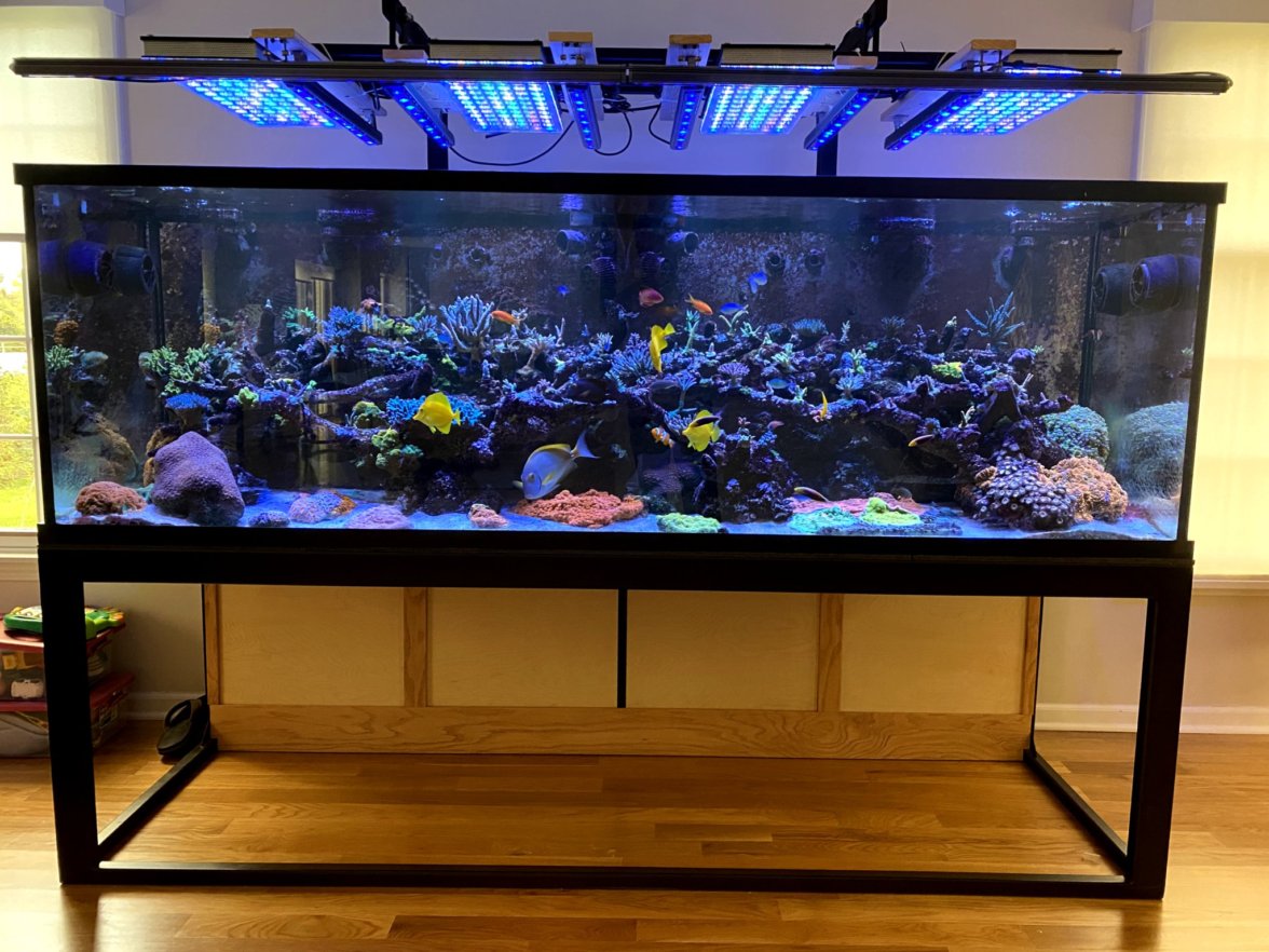 2021_best_reef_aquarium_LED_Světlo