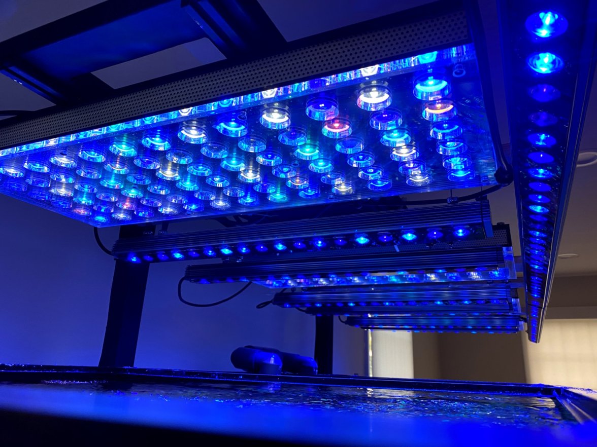 best_reef_led_system_2020-2021