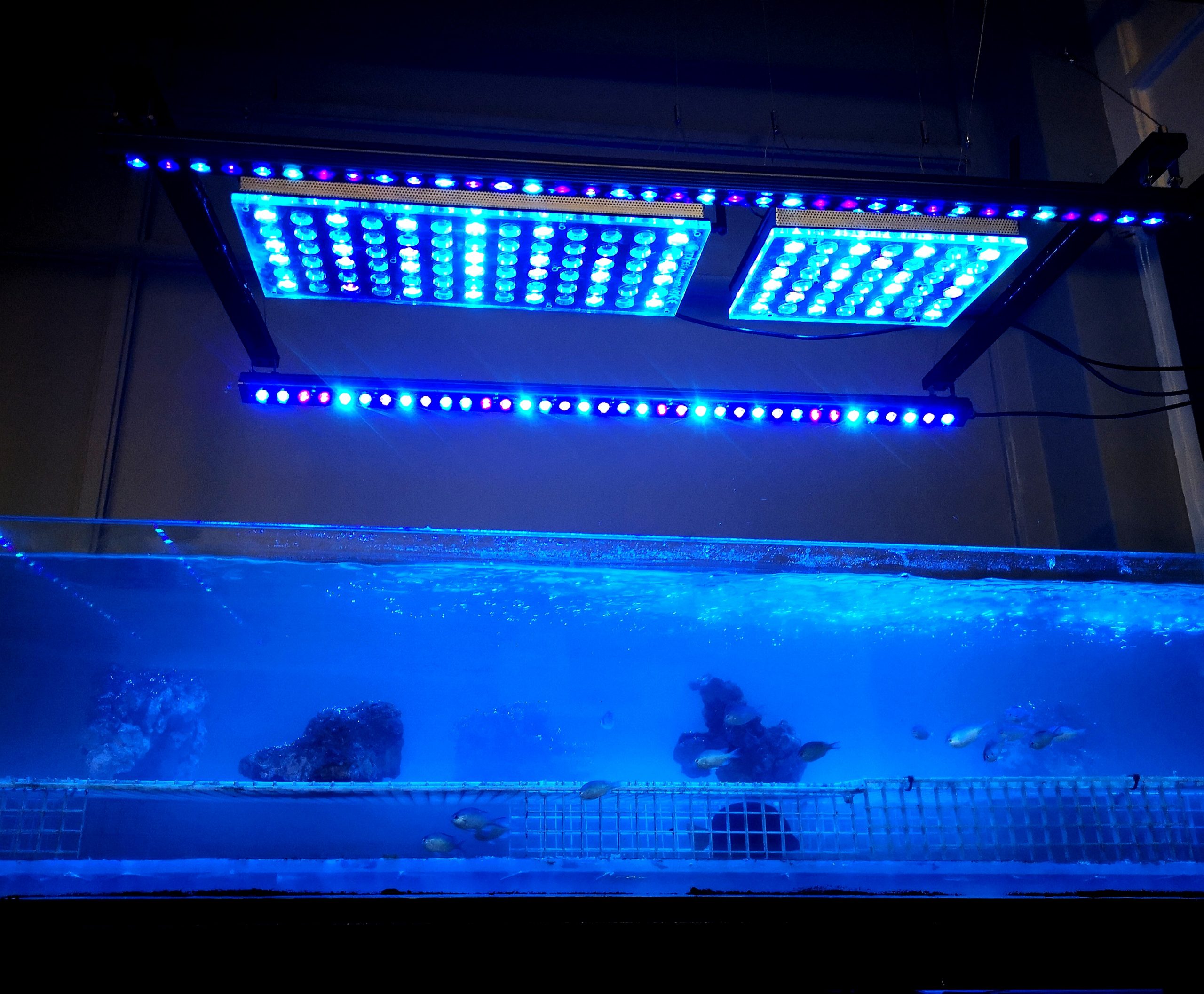 iluminación-led-orphek-AquaLab
