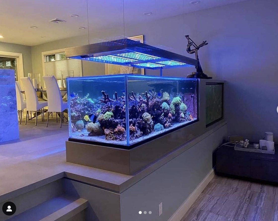 Reef Aquarium LED Light Galleria di foto • Orphek