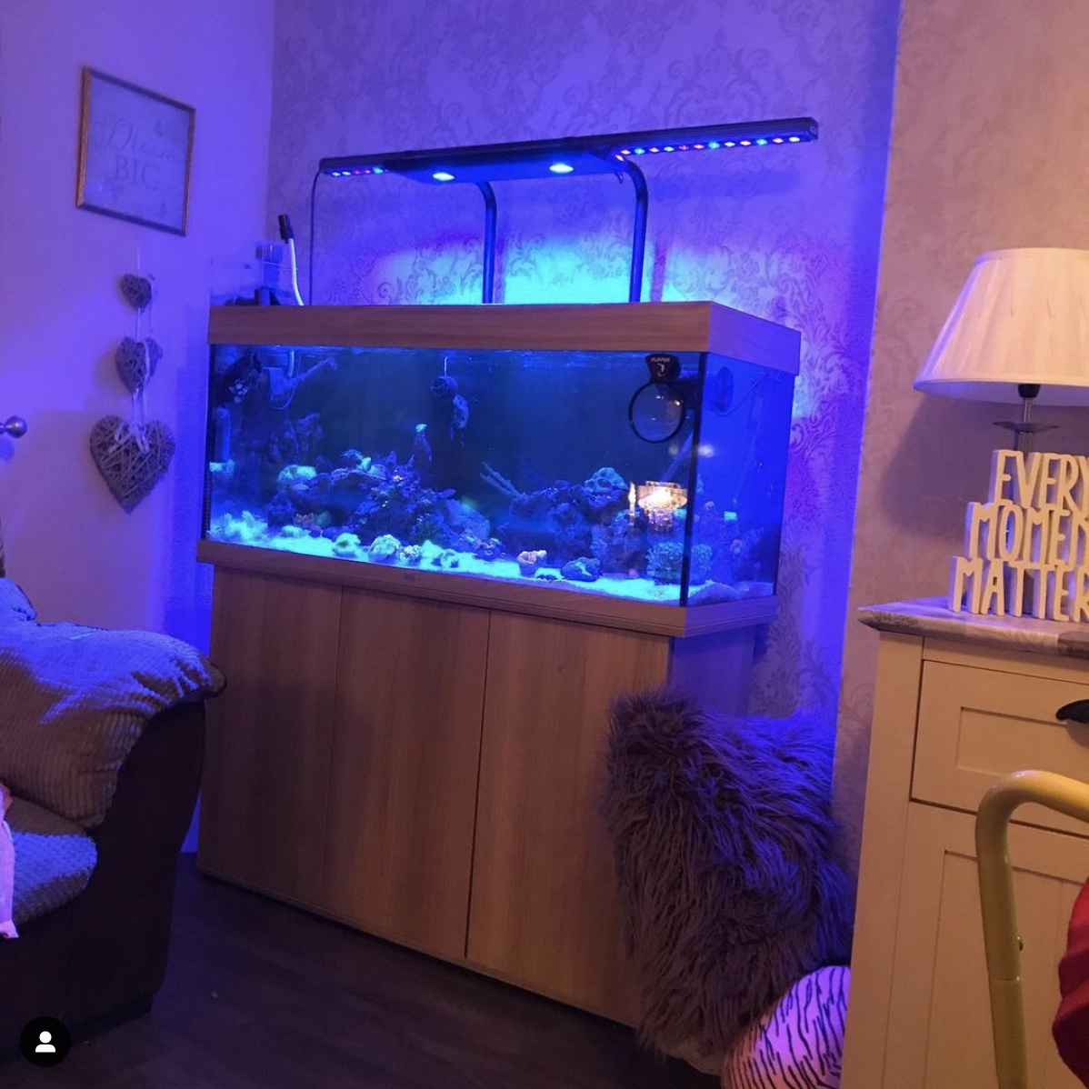 Orphek OR3 LED Bar with Kessil AP700