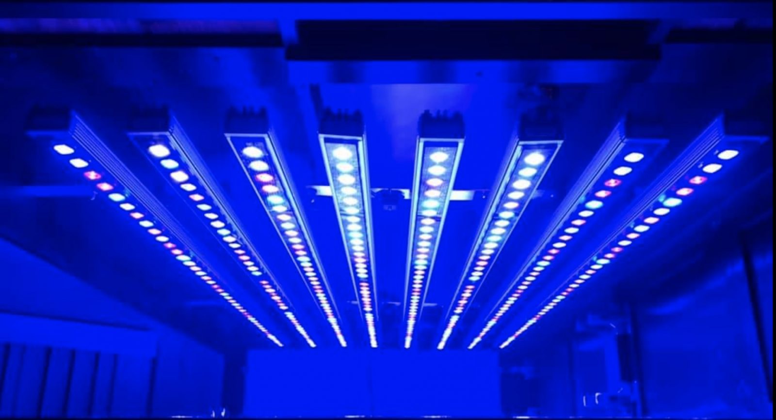 8 Orphek OR3 LED Bars